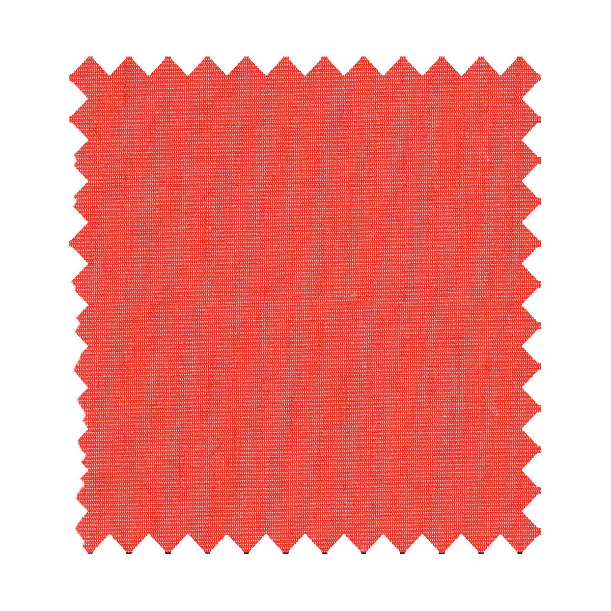 Matty SS -B // Japan Coral End On End- SMALL BATCH STYLE