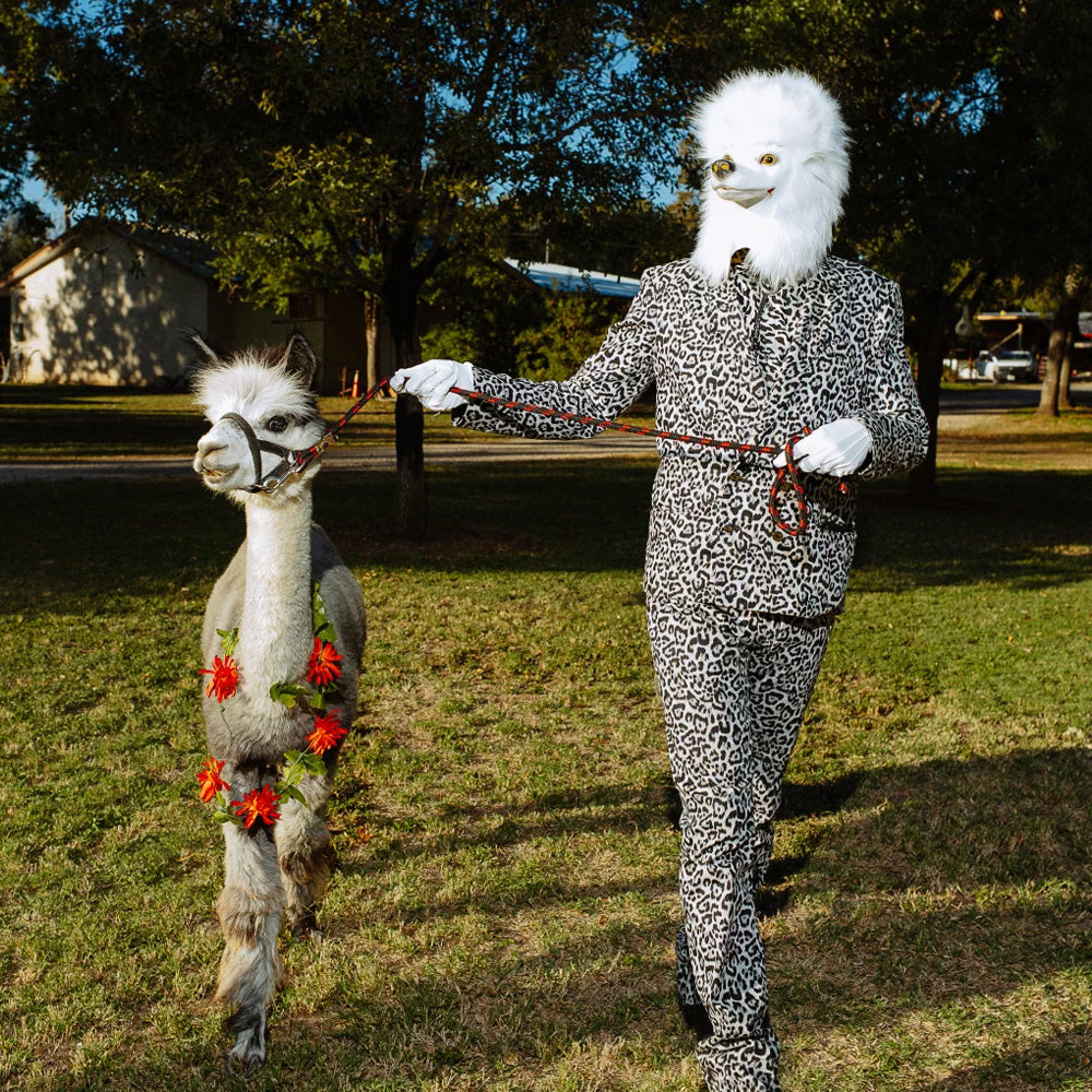LEOPARD SUIT + SHIRT - BRIAN WHITELEY - SXSW SATELLITE ART RANCH PHOTO SHOOT