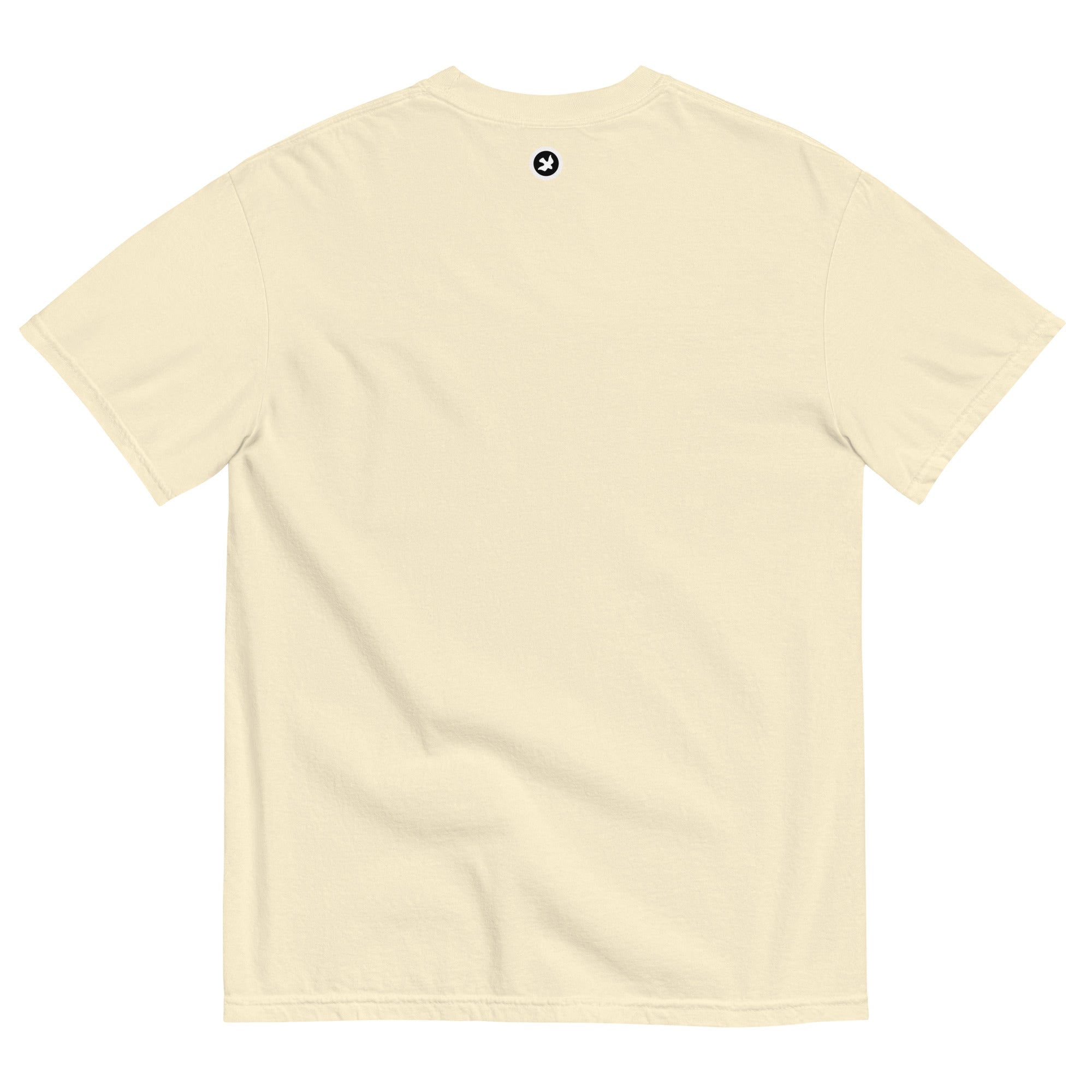 THE BAND PLAYS ON Unisex garment-dyed heavyweight t-shirt