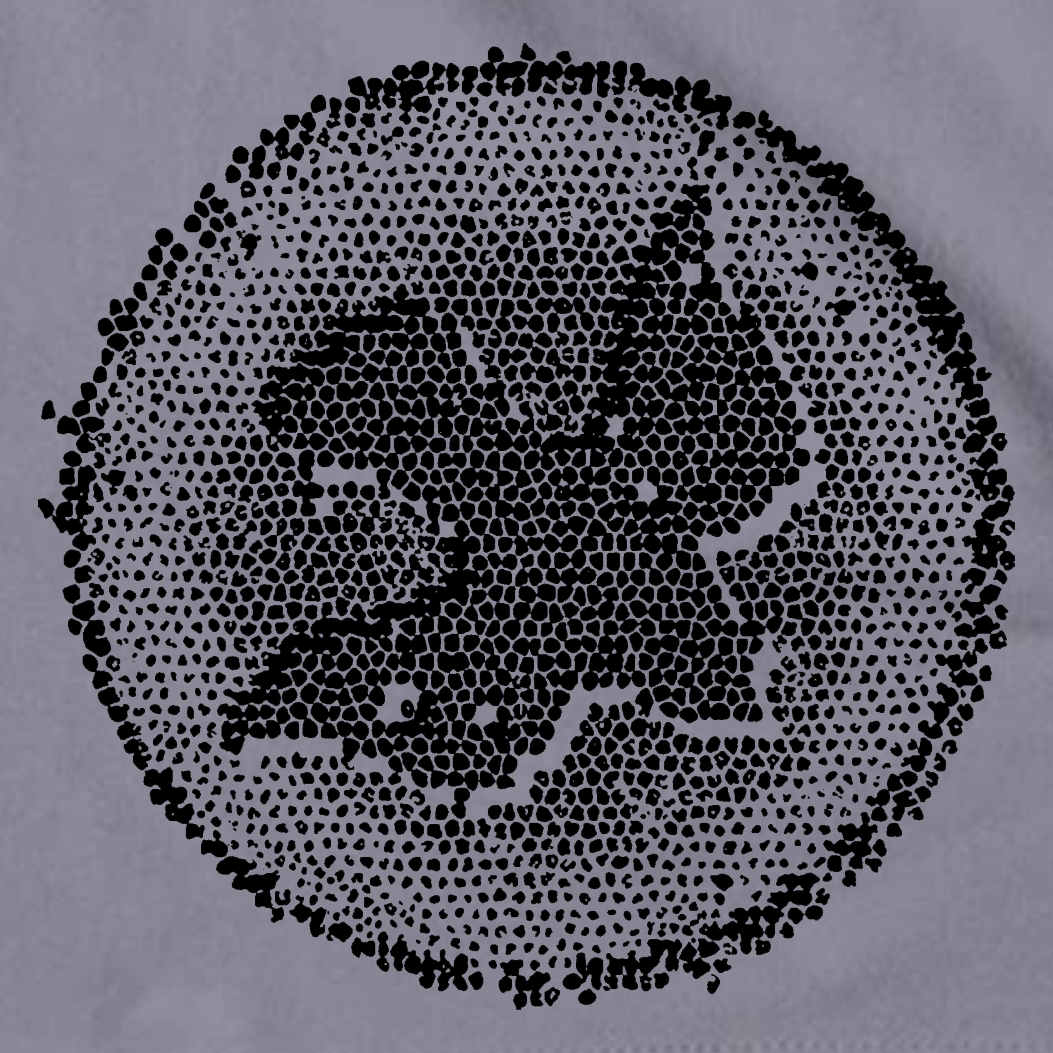 NYKiDs PEACE ICON / Short sleeve kids t-shirt