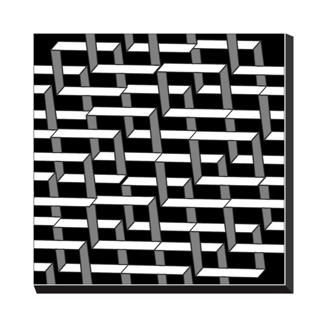 ORGANIC GEO - Canvas Wraps