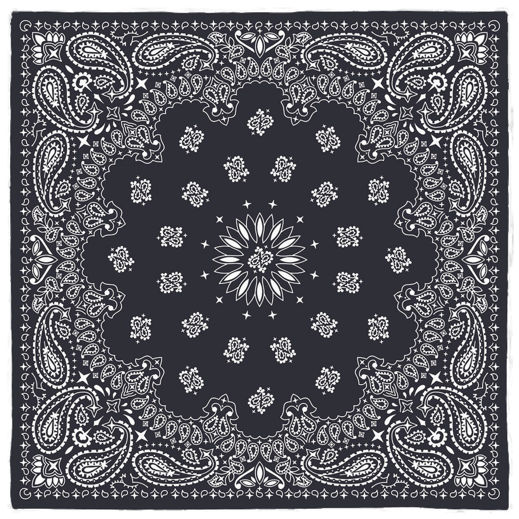 NAVY BRJ PAISLEY / Bandanas