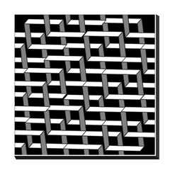 ORGANIC GEO - Canvas Wraps