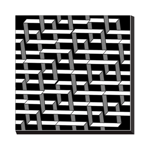 ORGANIC GEO - Canvas Wraps