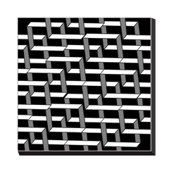 ORGANIC GEO - Canvas Wraps