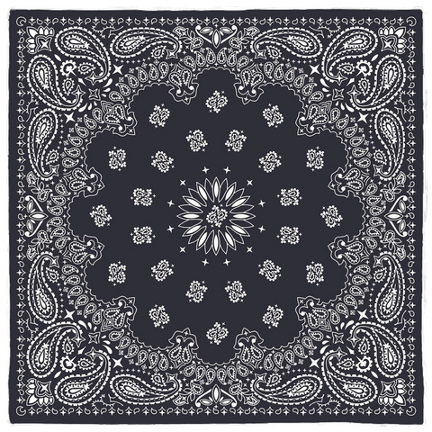NAVY BRJ PAISLEY / Bandanas